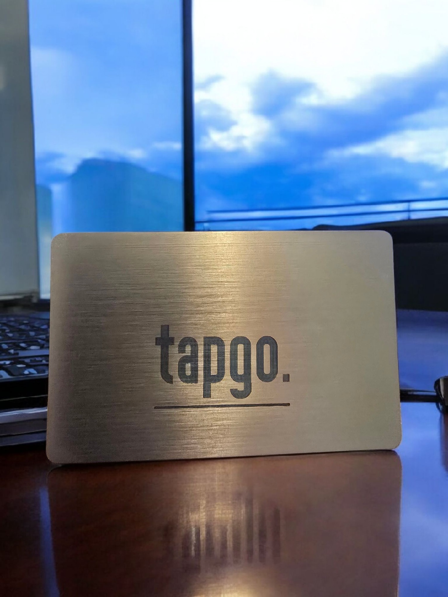 Tarjeta NFC en metal Logo tapgo SILVER/BLACK